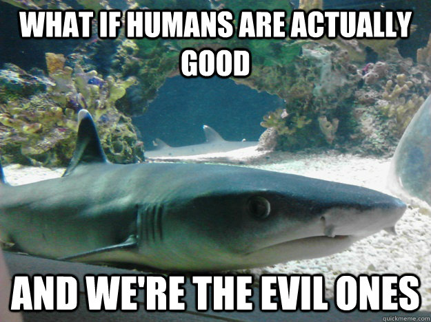 What If Humans Are Actually Good Funny Shark Meme
