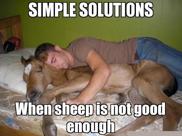 When Sheep Is Not Good Enough Funny Sleeping Meme