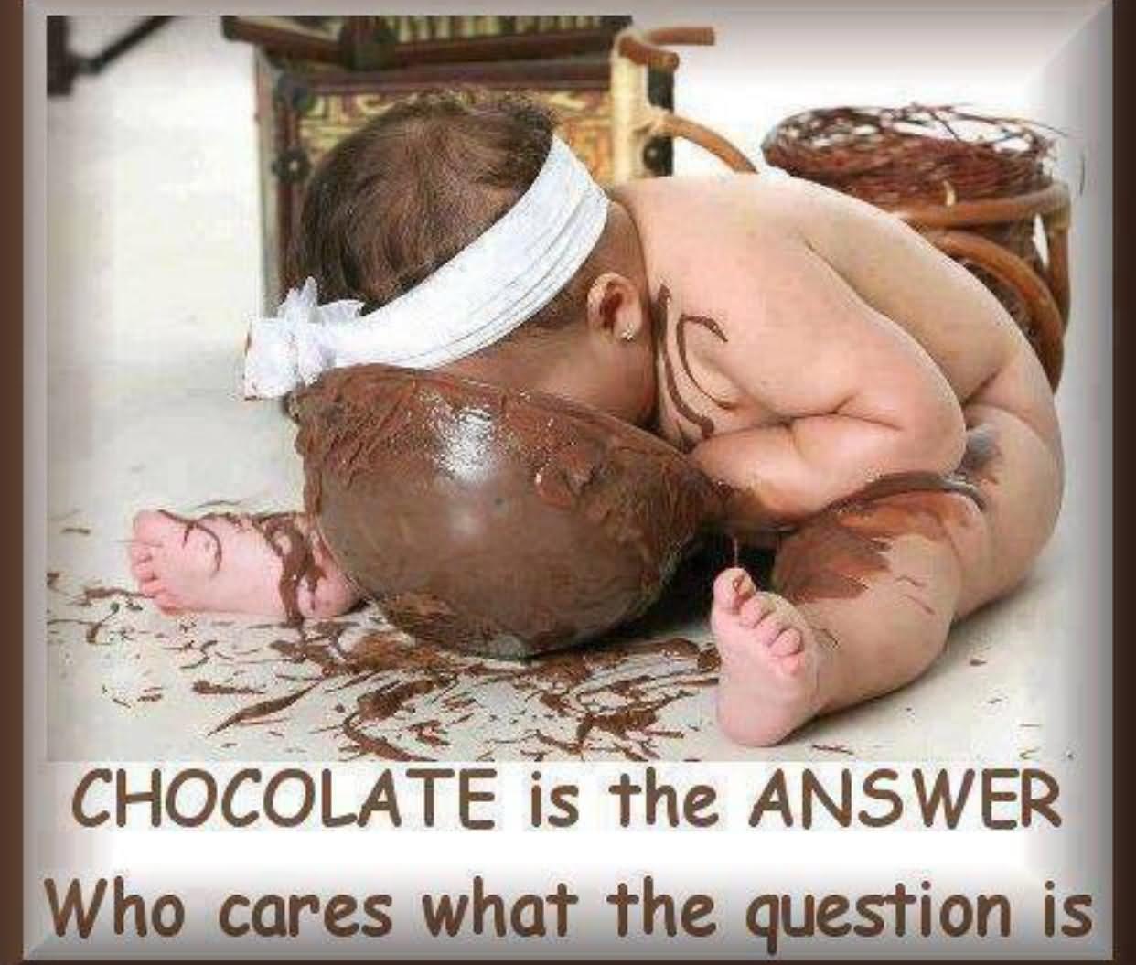 Who Cares What The Question Funny Chocolate