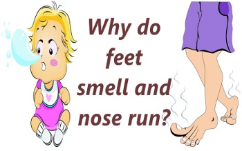 Why Do Feet Smell And Nose Run Funny Question