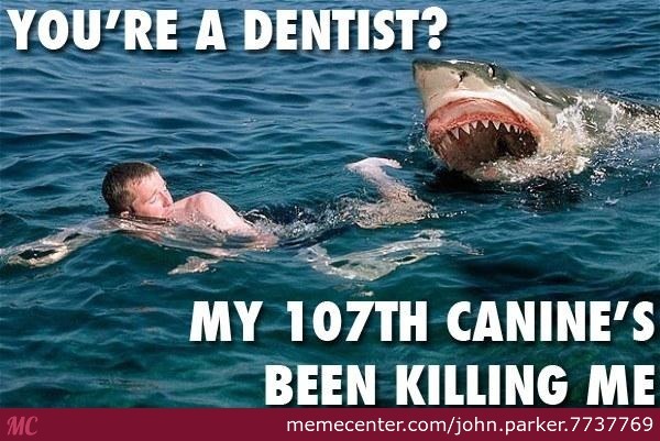 You Are A Dentist Funny Shark Meme