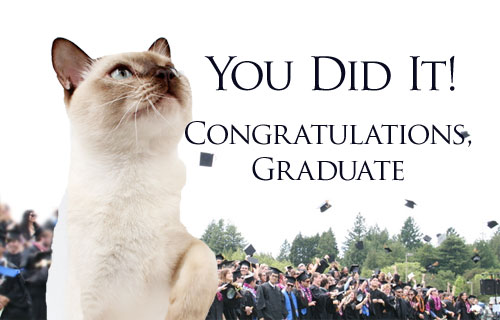 You Did It Congratulations Graduate