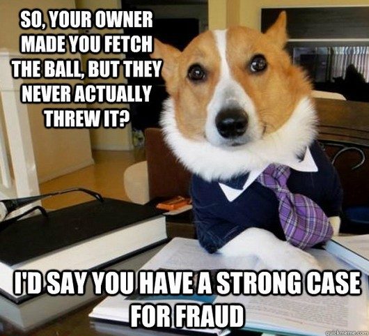 You Have A Strong Case For Fraud Funny Dog Meme
