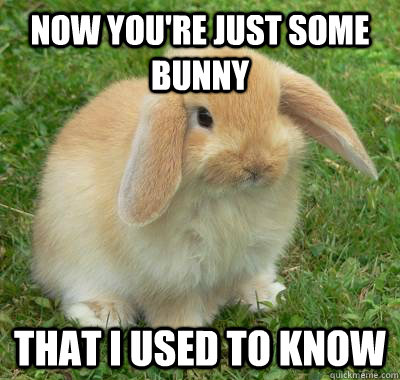 Now You Are Just Some Bunny Funny Meme
