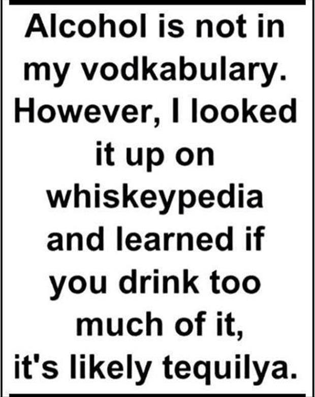 Alcohol Is Not In My Vodkabulary Funny Image