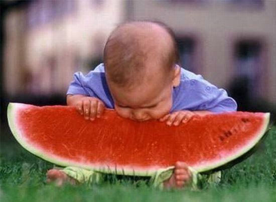 Baby Eating Watermelon Funny Image