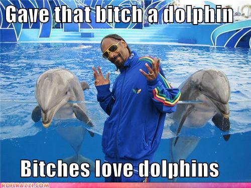 Bitches Love Dolphins Funny Meme
