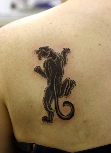 Black And Grey Little Panther Tattoo On Left Back Shoulder By Johnny