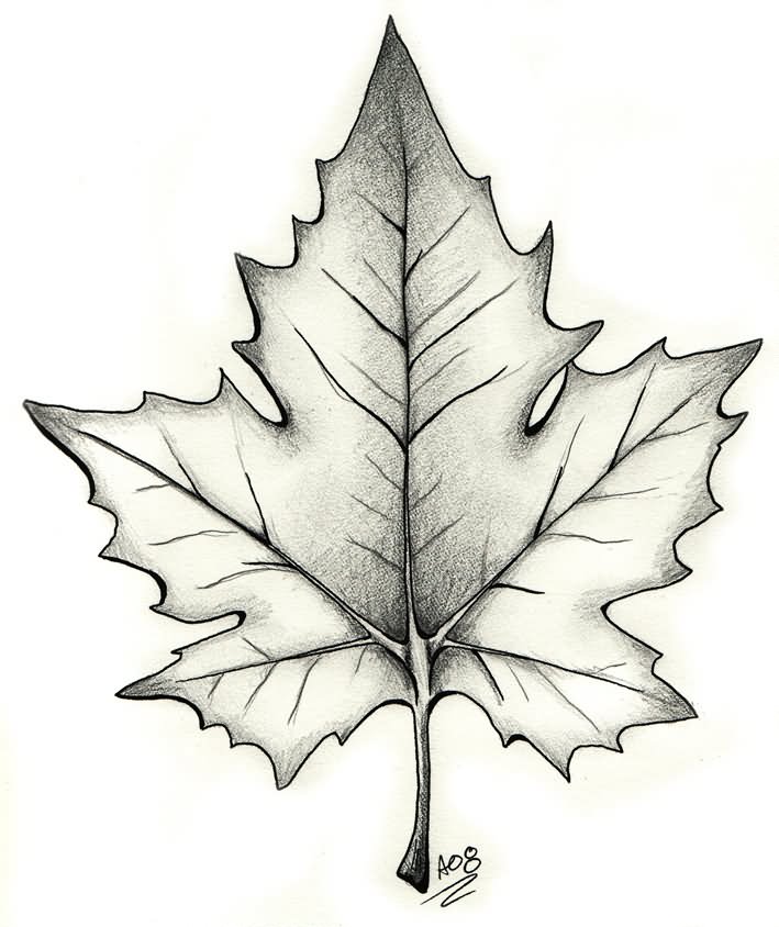 Black And Grey Maple Leaf Tattoo Design