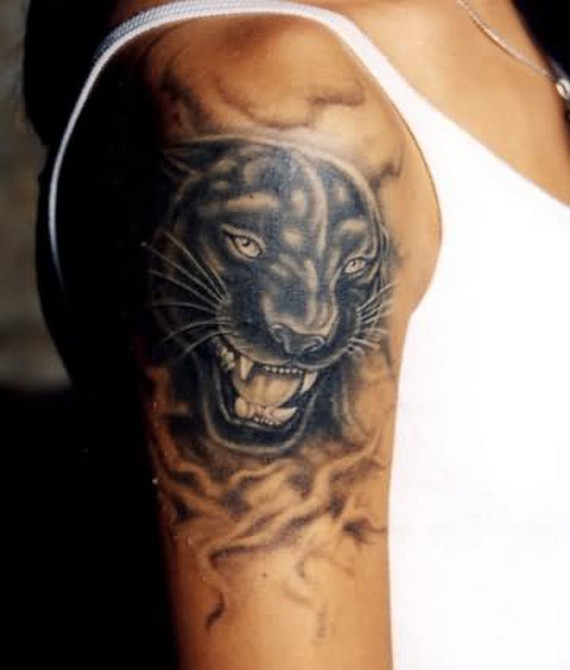 Black And Grey Panther Head Tattoo On Man Right Shoulder