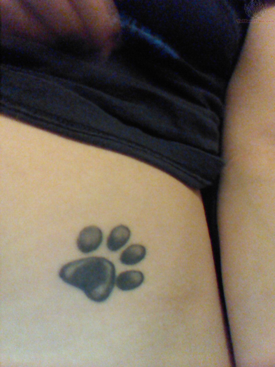 Black And Grey Paw Tattoo On Girl Stomach