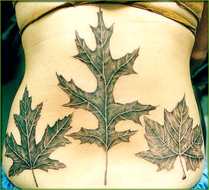 Black And Grey Three Maple Leaf Tattoo On Back