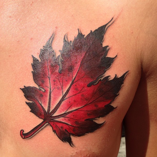 Black And Red Maple Leaf Tattoo On Man Left Chest