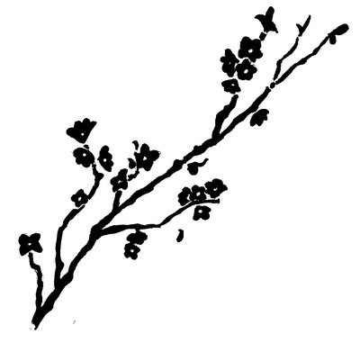 Black Cherry Blossom Branch Tattoo Stencil By Kevin B Madison