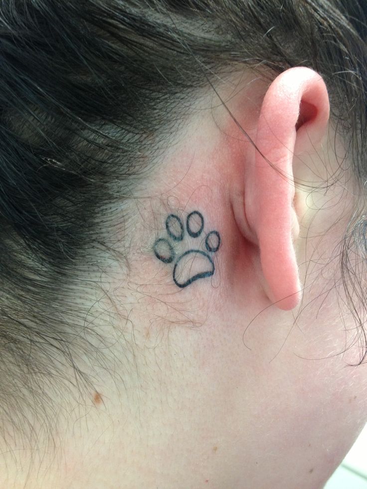 Black Paw Outline Tattoo On Girl Behind The Ear