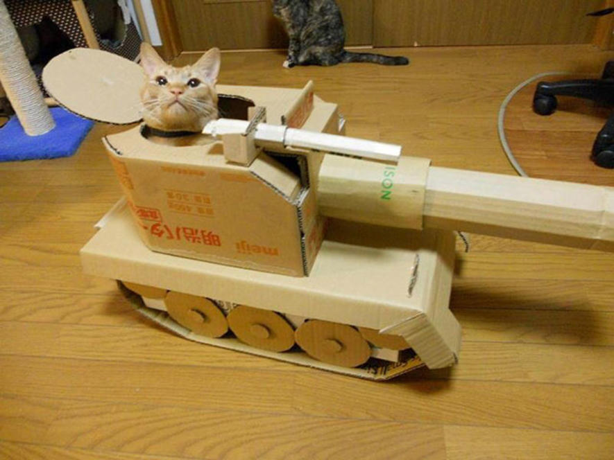 Cat With War Tank Funny Picture