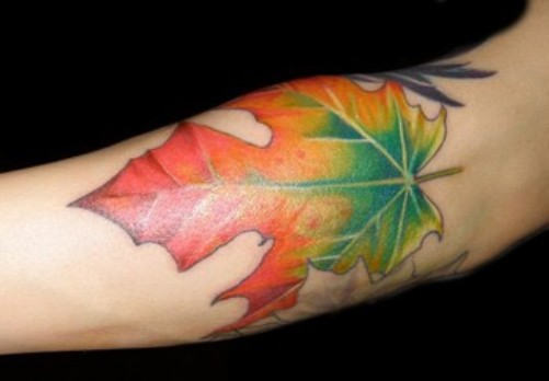 Colorful Maple Leaf Tattoo On Forearm