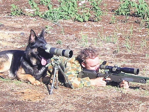 Dog Soldier Funny War