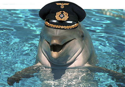 Dolphin In Military Hat Funny Picture