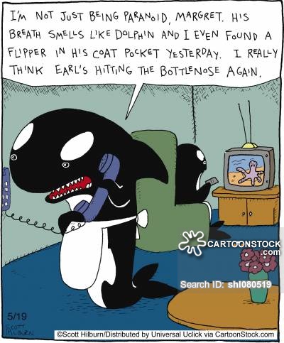 Dolphin Watching Television Funny Cartoon