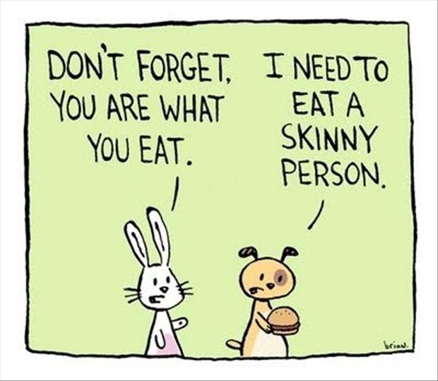 Don't Forget You Are What You Eat Funny Cartoon