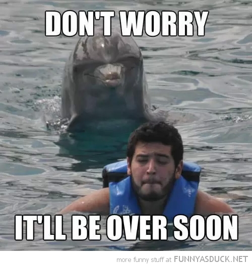 Don't Worry It Will Be Over Soon Funny Dolphin Picture
