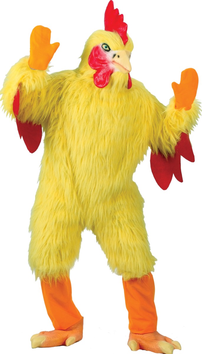 Funny Chicken Costume Image