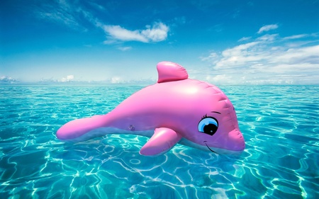 Funny Pink Dolphin