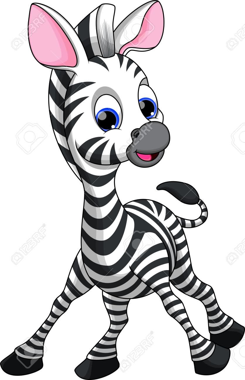 baby zebra clipart - photo #46