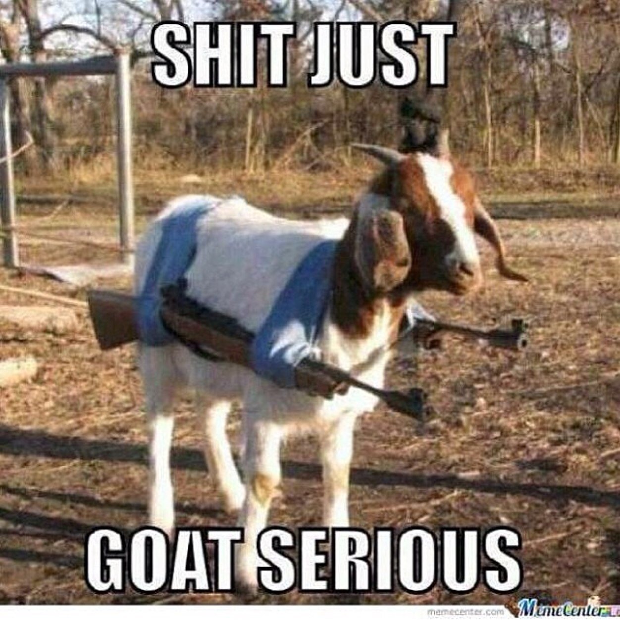 Goat With Gun Funny War Image