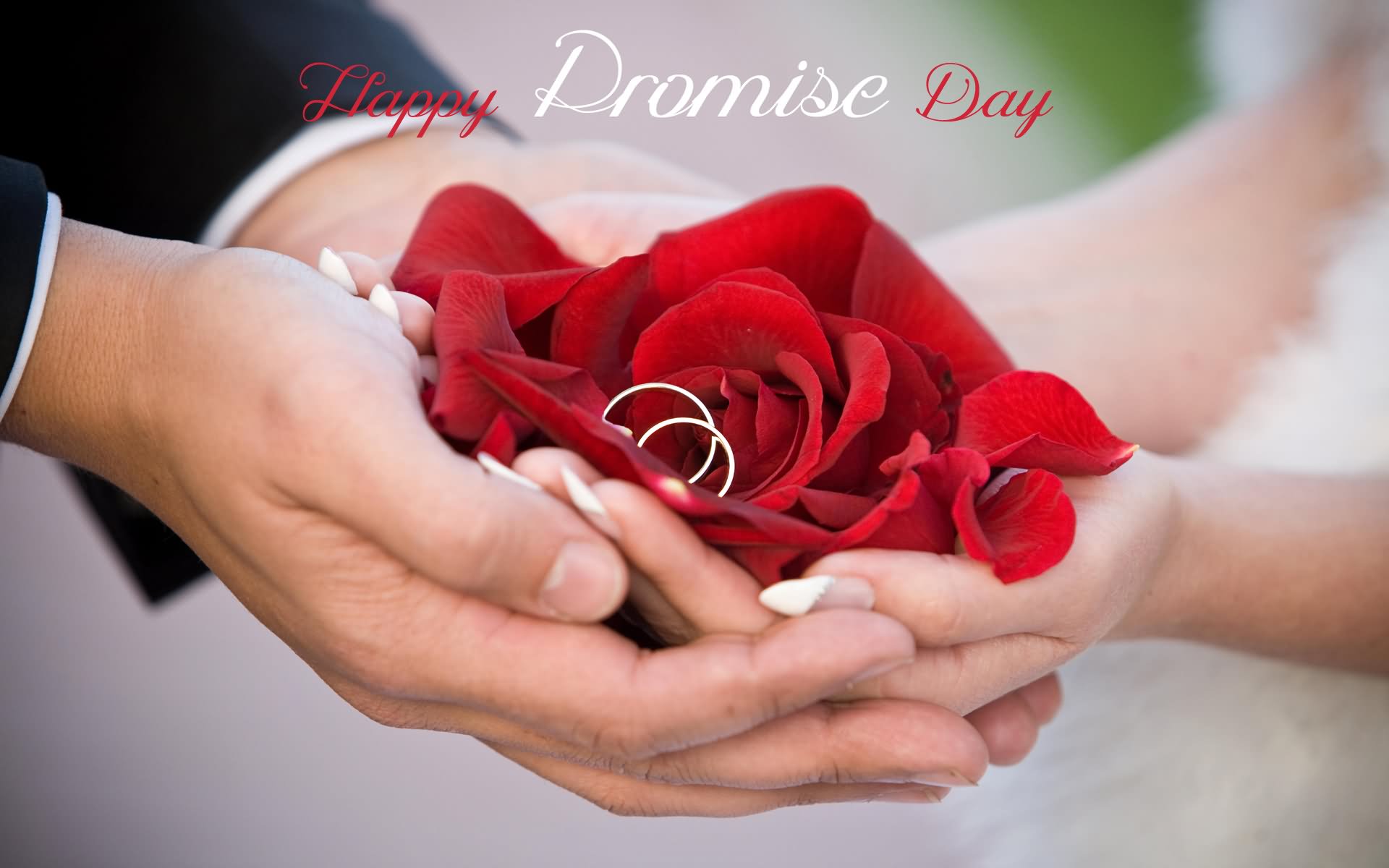 Happy Promise Day Rose Flower For You Wallpaper