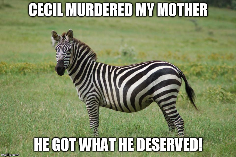 He Got What He Deserved Funny Zebra Meme