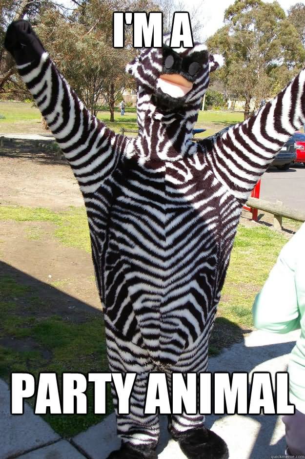 I Am Party Animal Funny Zebra Meme