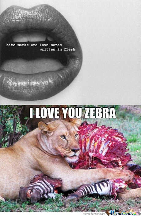 I Love You Zebra Funny Meme Picture