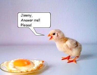 Jimmy Answer Me Please Funny Chicken
