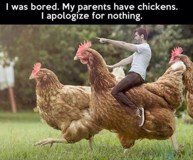 Man Riding Giant Chicken Funny Picture