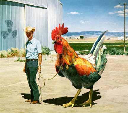 Man With Giant Chicken Funny Picture