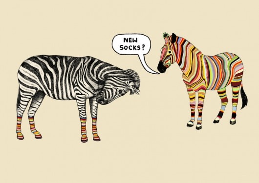 New Socks Funny Zebras Picture