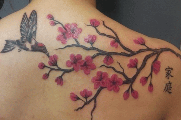 Pink Cherry Blossom Branch With Bird Tattoo On Upper Back By Parfait Francais