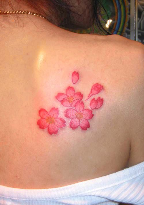 Pink Cherry Blossom Flowers Tattoo On Girl Back Shoulder
