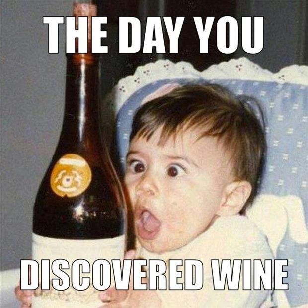 The Day You Discovered Wine Funny Alcohol