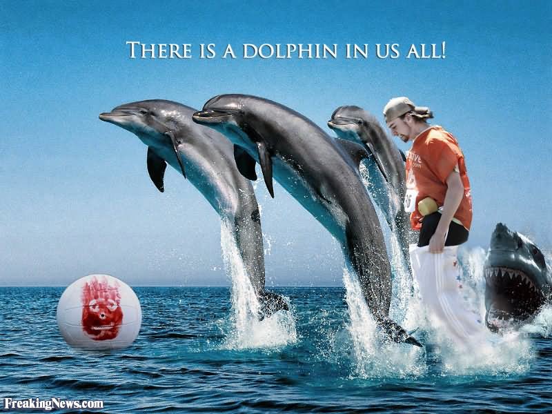 There Is A Dolphin In Us All Funny Picture