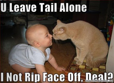 U Leave Tail Alone Funny Baby Face Meme