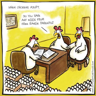 When Chicken Adopt Funny Cartoon Picture