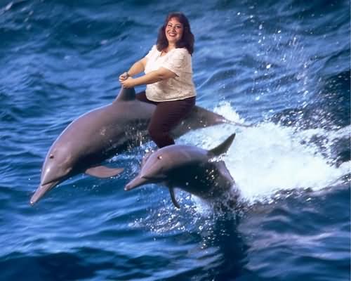 Woman On Dolphin Funny Picture