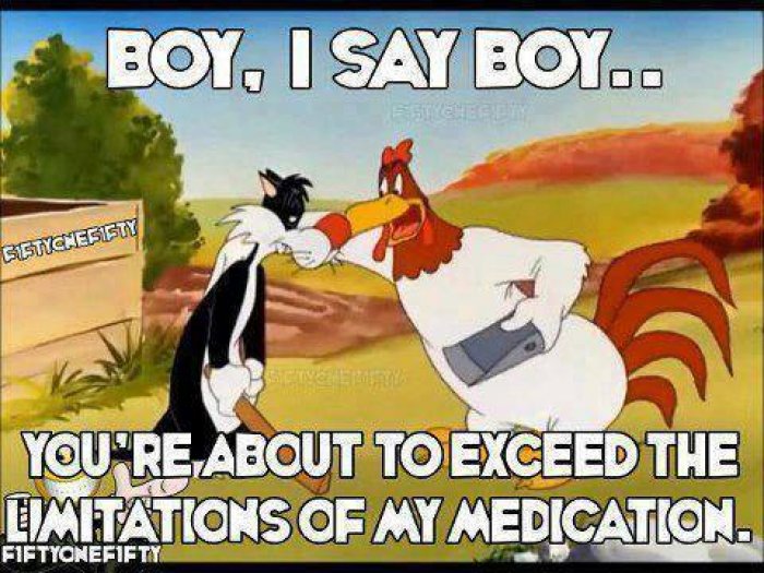You Are About To Exceed The Limitations Of My Medication Funny Chicken Meme
