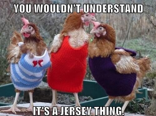 You Wouldn't Understand Funny Chicken Meme