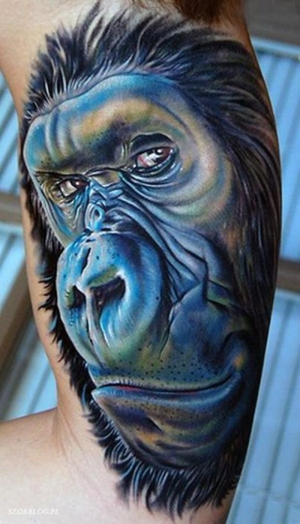 3D Gorilla Head Tattoo On Half Sleeve