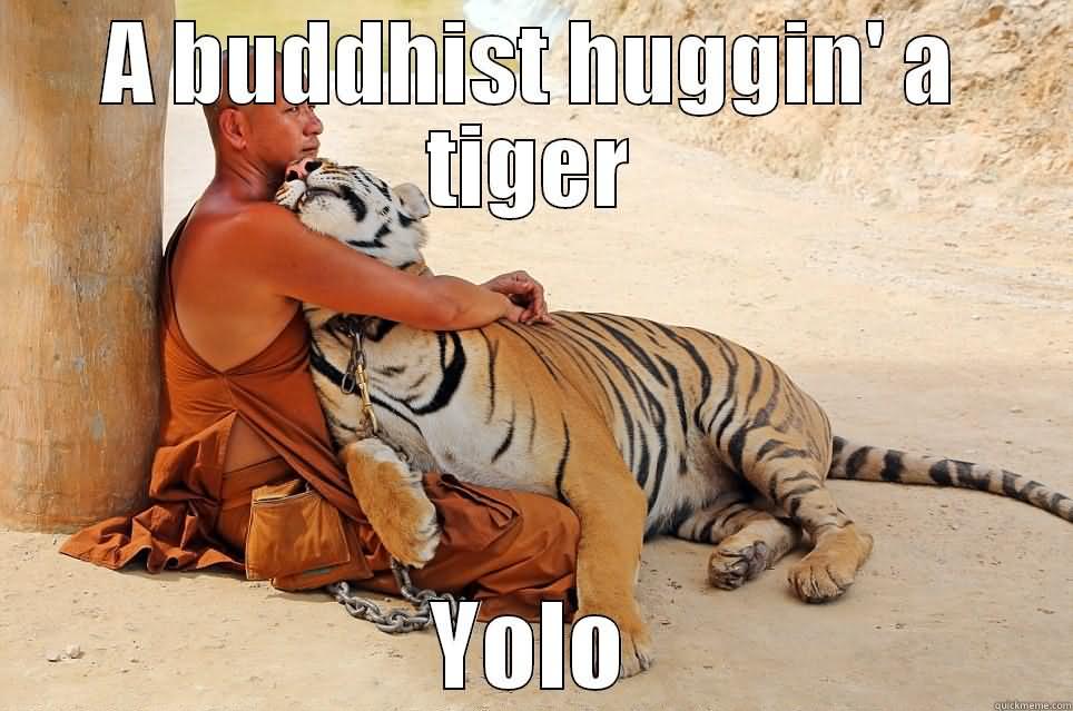 A Buddhist Huggin'a Tiger Yolo Funny Meme