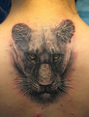 Amazing 3D Lioness Head Tattoo On Upper Back